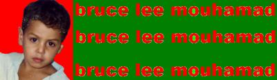 mohamad  bruce lee